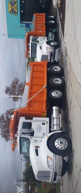 Beautiful custom stone masonry walkway paving in Richmond VA
